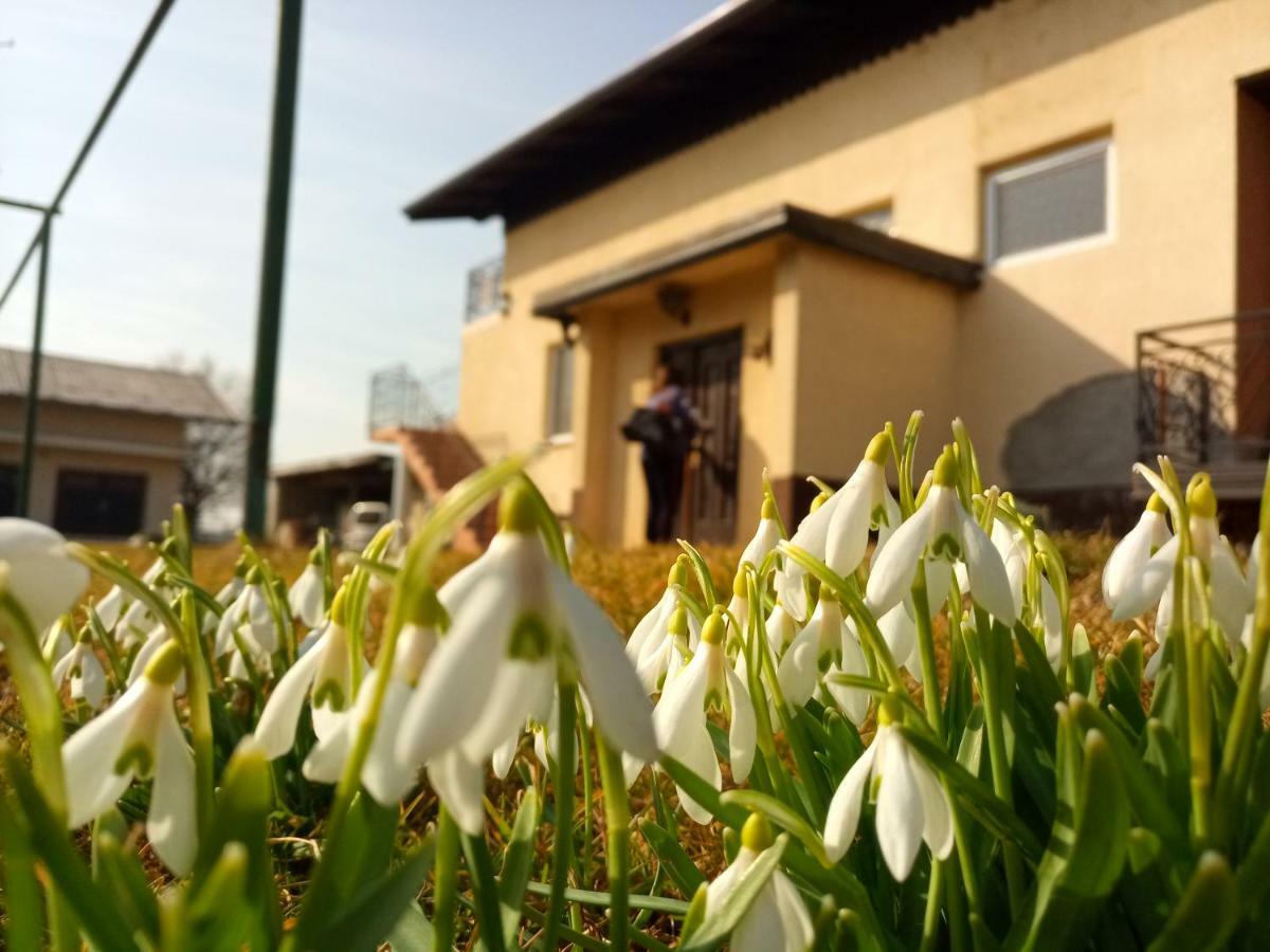 Apartma "Happy Scotts" Starše Exteriér fotografie